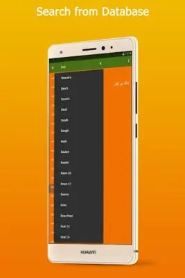 English Sindhi Dictionary android App screenshot 2